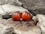 Dark Lord Tomato Seeds