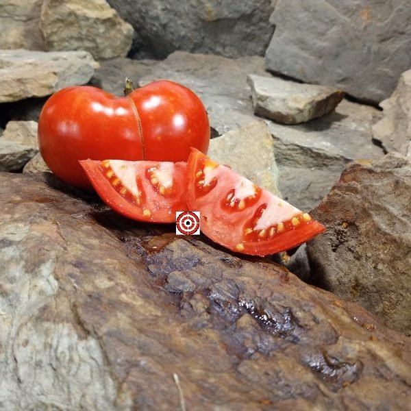 Delicious Tomato