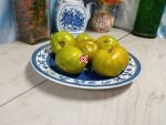 Devils Garden Dwarf Tomato Container Tomatoes