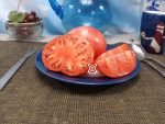 Dinner Plate Tomato Pink Tomatoes