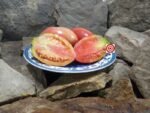 Donkey Ears Tomato Paste Tomatoes