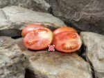 Donkey Ears Tomato Seeds