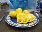 Doochova Yellow Pepper Tomato Hollow Tomatoes