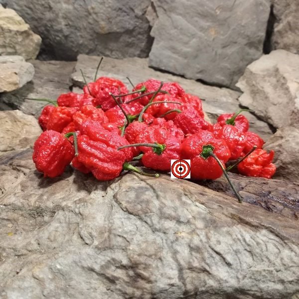 Dragons Breath Pepper