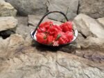 Dragons Breath Pepper - Image 5