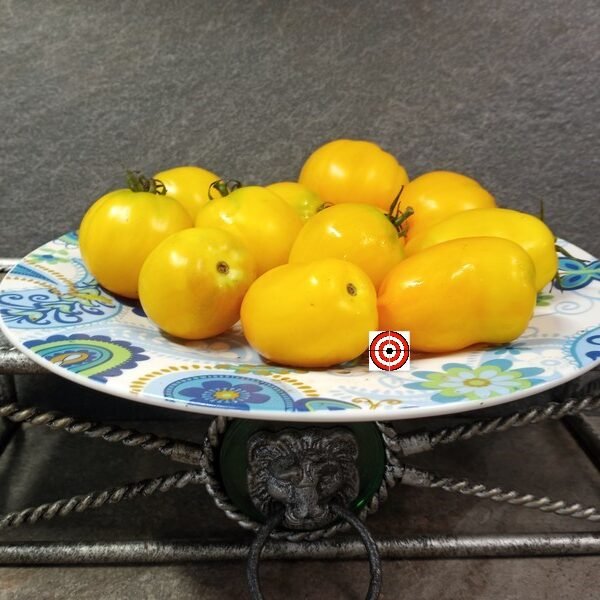 Dwarf Banana Toes Tomato