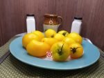 Dwarf Banana Toes Tomato Yellow Tomatoes