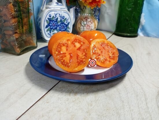 Dwarf Belarus Orange Tomato