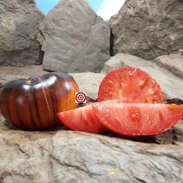 Dwarf Blue Tomato