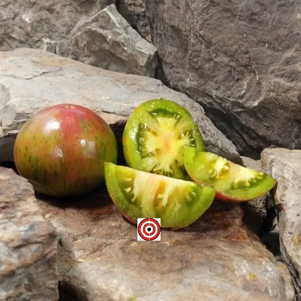 Dwarf Copia Tomato