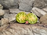 Dwarf Copia Tomato - Image 4