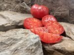 Dwarf Crazy Calliope Tomato - Image 4