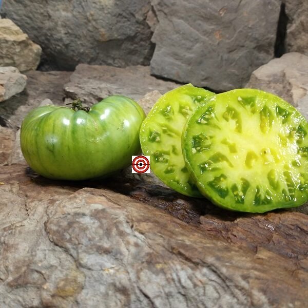 Dwarf Delano Tomato