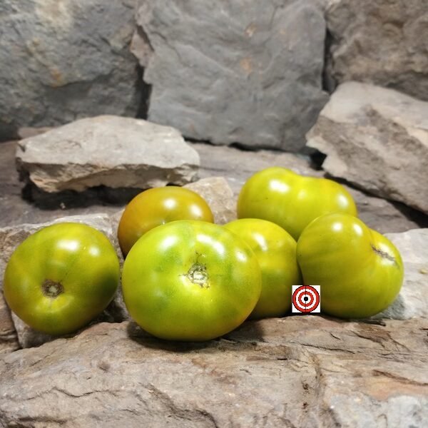 Dwarf Devils Garden Tomato