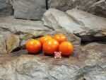 Dwarf Duckling Micro Tomato Seeds
