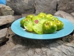 Dwarf Emerald City Tomato Seeds