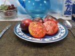 Dwarf Gondwana Rose Tomato Dwarf Tomatoes