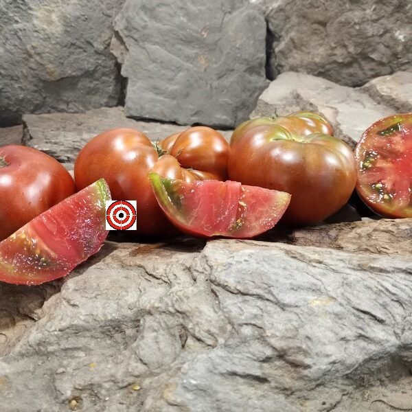 Dwarf Grandmas Chocolate Tomato