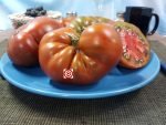 Grandmas Chocolate Dwarf Tomato