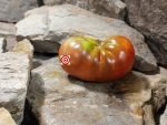 Dwarf Grandmas Chocolate Tomato Seeds