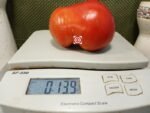 Dwarf Kodiak King Tomato