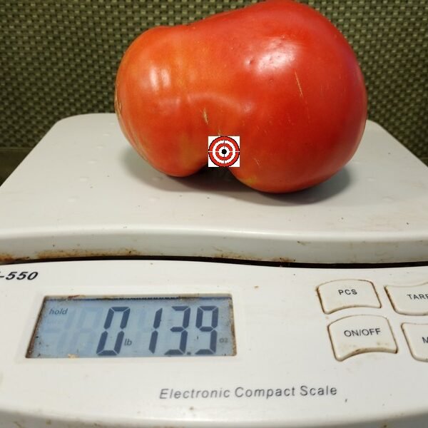 Dwarf Kodiak King Tomato