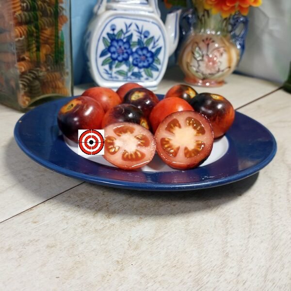 Dwarf Mooncalf Tomato