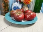 Dwarf Nano's Meatball Tomato - Image 2