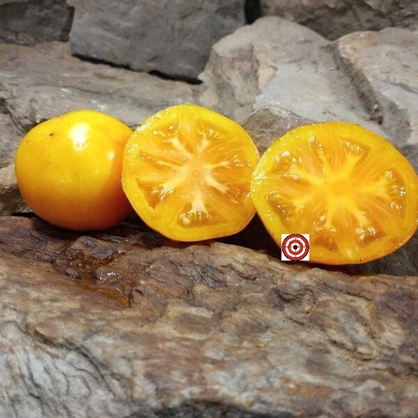 Dwarf Nimu Tomato