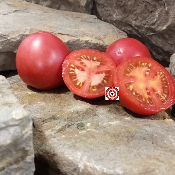 Dwarf Pink Flamingo Tomato