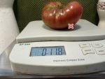 Dwarf Pink Stripes Tomato - Image 2
