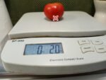 Dwarf Premus Tomato Patio Tomatoes