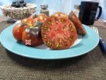 Dwarf Rebel Starfighter Dippers Delight Tomato