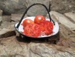 Dwarf Red Heart Tomato