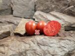 Dwarf Red Heart Tomato Seeds