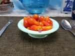 Dwarf Red Romanian Tomato - Image 2
