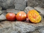 Dwarf Rosella Bicolor Tomato - Image 3