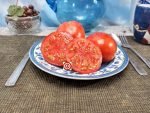 Dwarf Rybachick Tomato Rare Tomatoes