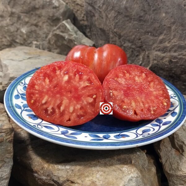 Dwarf Stoney Brook Heart Tomato