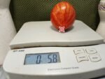 Dwarf Stoney Brook Heart Tomato Seeds