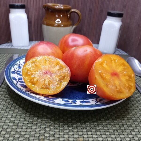 Dwarf Sunkissed Peach Tomato