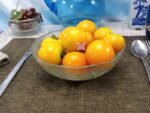 Dwarf Sweet Satsuma Tomato