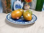 Dwarf Tiger Eye Tomato Dwarf Tomatoes