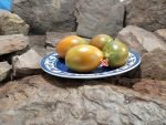 Dwarf Tiger Eye Tomato Seeds
