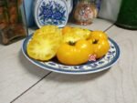 Dwarf Yellow Brick Road Tomato