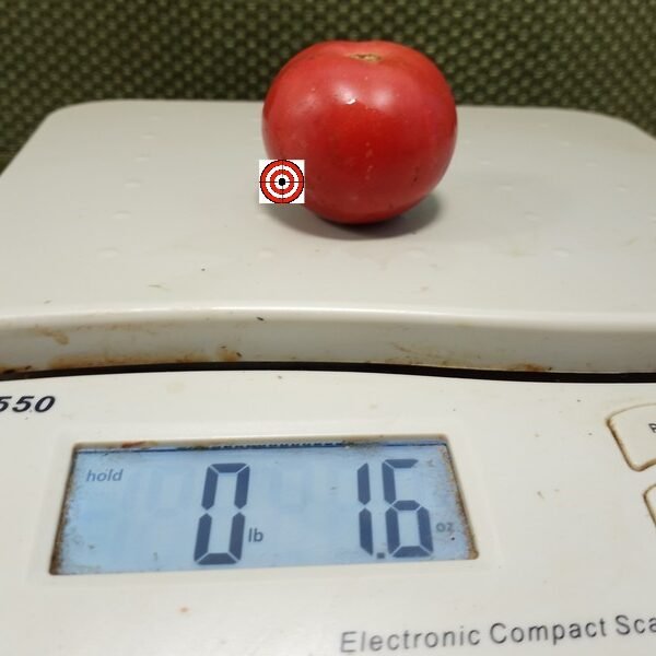 Early Annie Tomato
