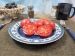 Early Annie Tomato Heirloom Tomatoes