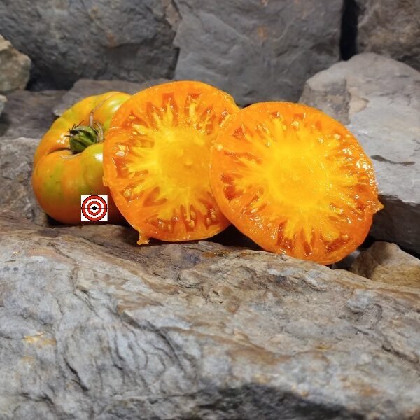 Elliot County Orange Tomato
