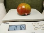 Everetts Rusty Oxheart Tomato Rare Tomatoes