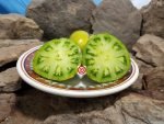 Evergreen Tomato